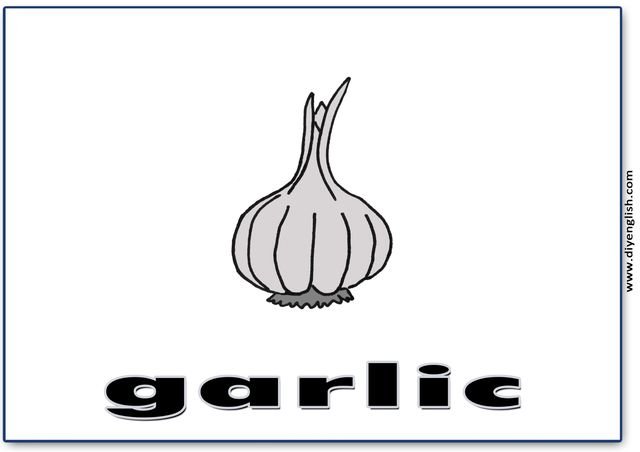 garlic – English word flashcard