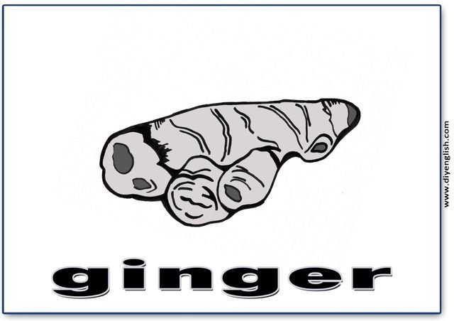 ginger – English word flashcard