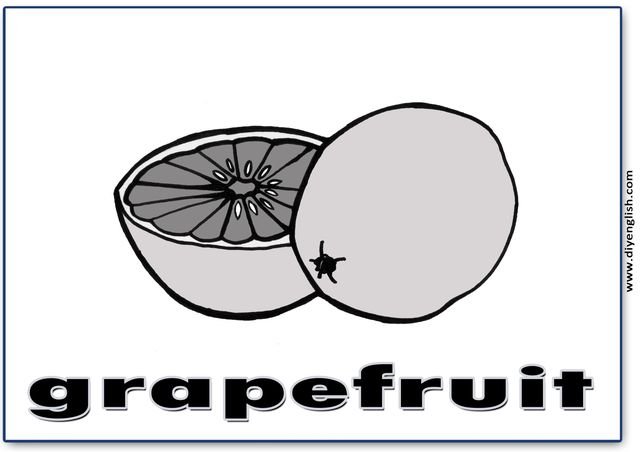 grapefruit – English word flashcard