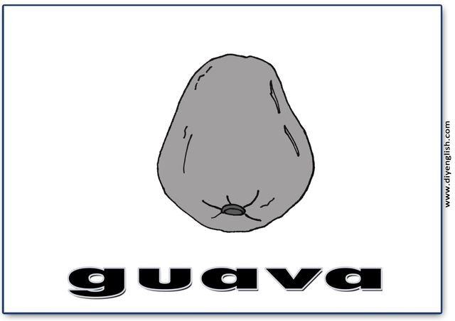 guava – English word flashcard