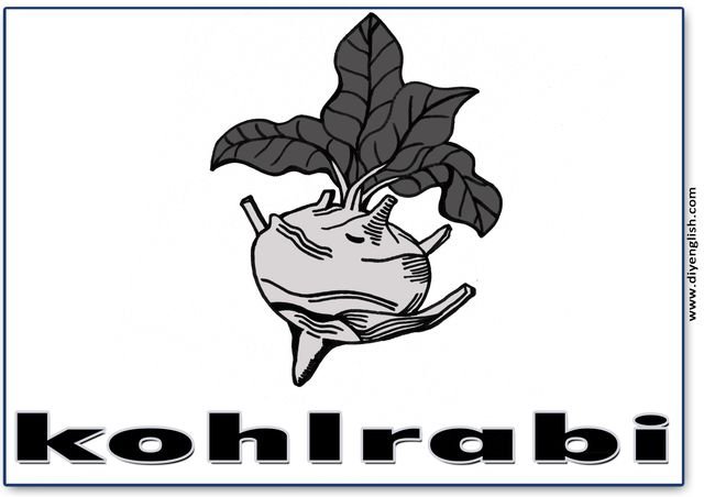 kohlrabi – English word flashcard