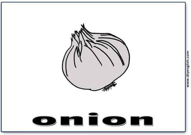 onion – English word flashcard