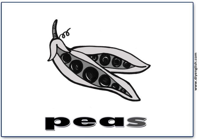 peas – English word flashcard
