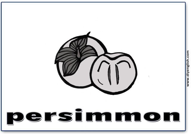 persimmon – English word flashcard