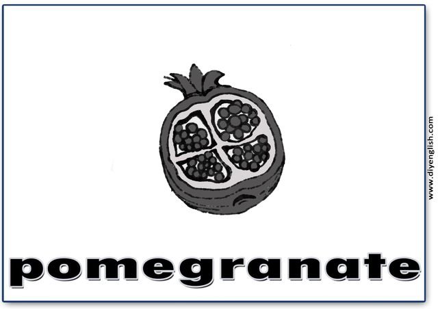 pomegranate – English word flashcard