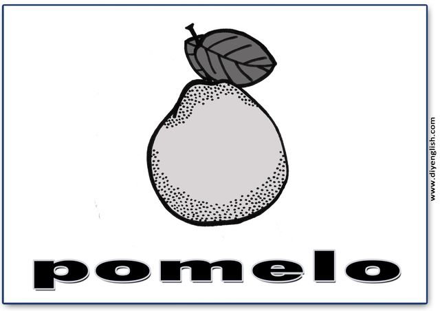 pomelo – English word flashcard