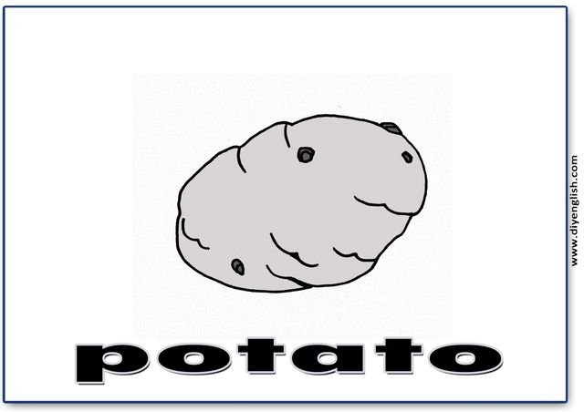potato – English word flashcard