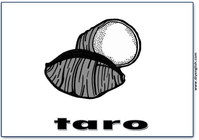 taro – English word flashcard