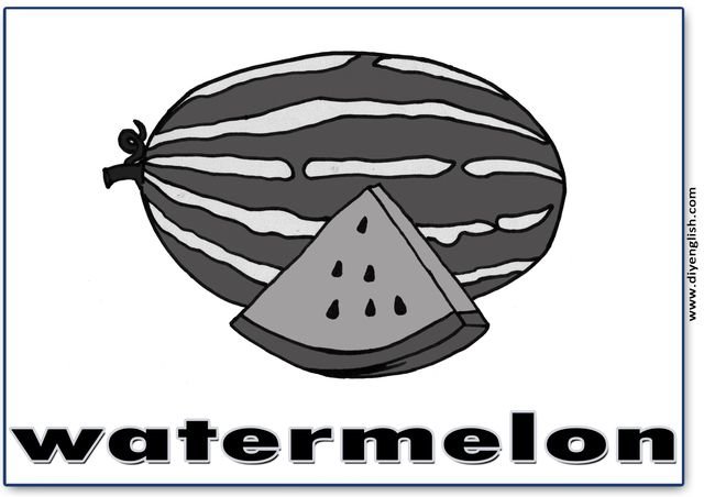 watermelon – English word flashcard