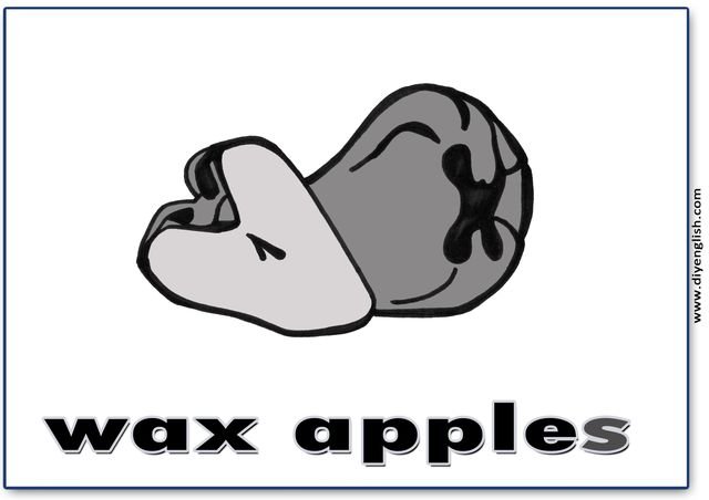 wax apples – English word flashcard