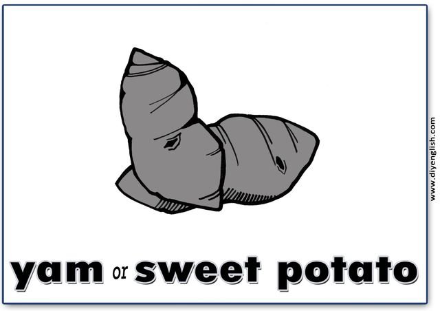 yam / sweet potato – English word flashcard