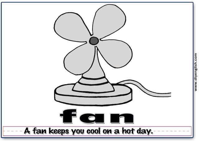 fan – Word & fun-fact sentence flashcard