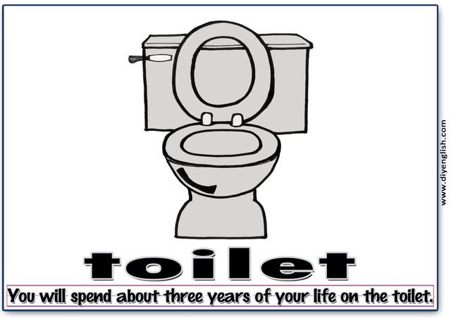 toilet – Word & fun-fact sentence flashcard