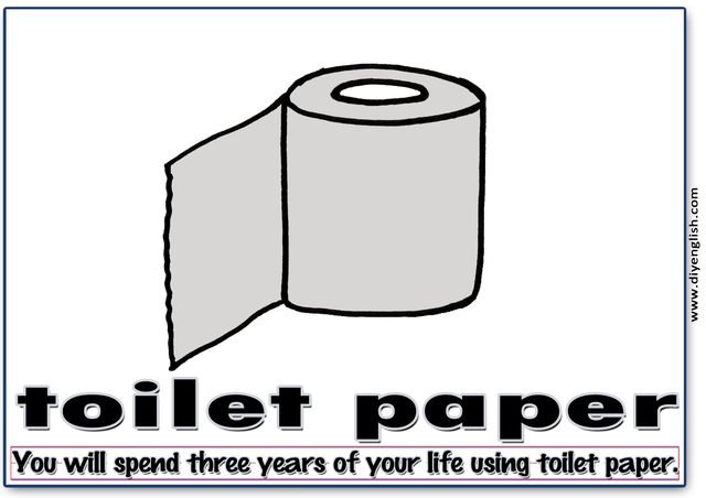 toilet paper – Word & fun-fact sentence flashcard