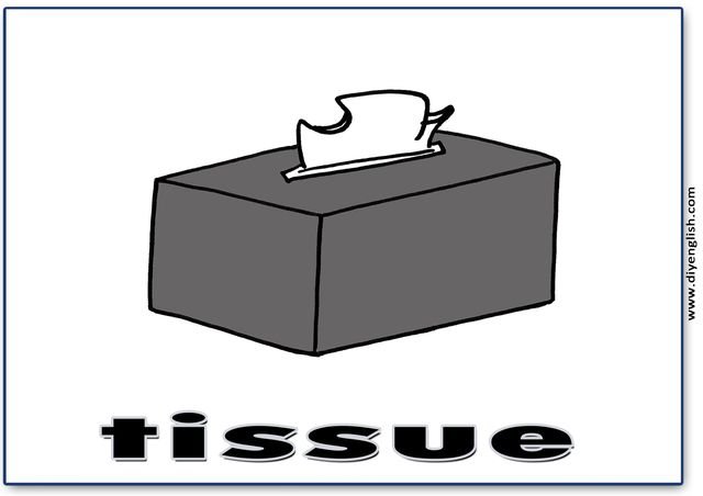 tissue – English word flashcard