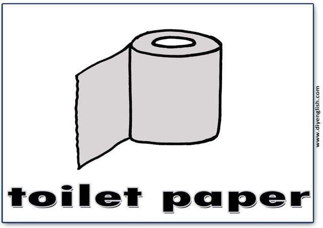 toilet paper – English word flashcard