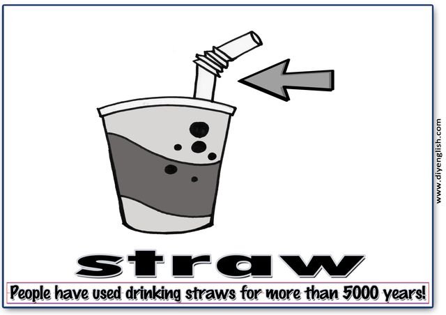 straw – Word & fun-fact sentence flashcard