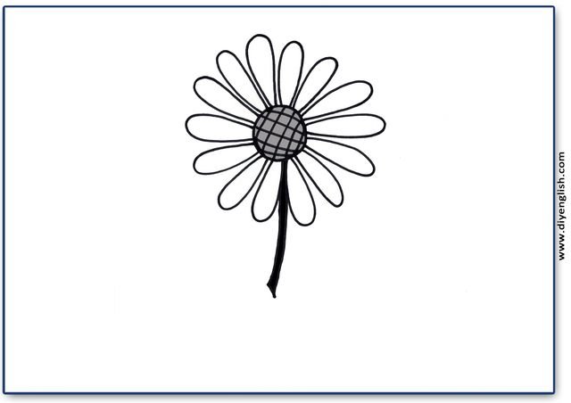 flower – Blank – colour & write flashcard