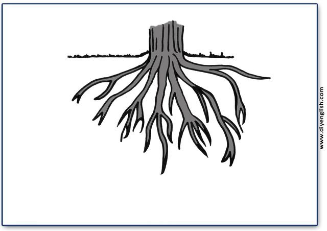 roots – Blank – colour & write flashcard