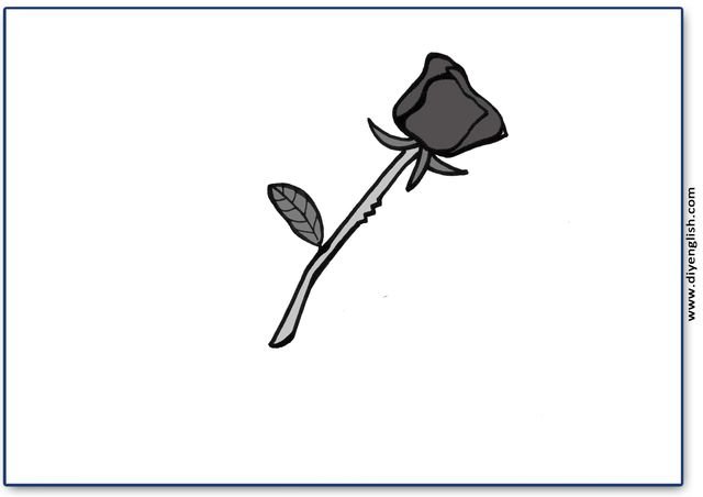 rose – Blank – colour & write flashcard