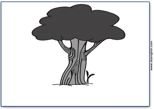 tree – Blank – colour & write flashcard
