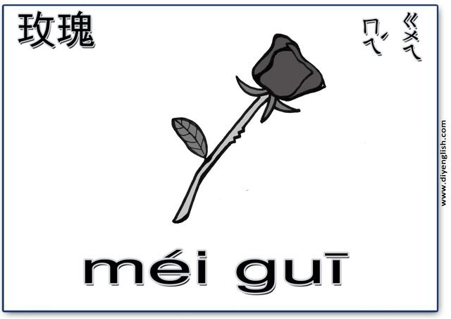 rose – Chinese & Pinyin flashcard