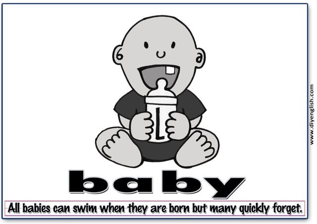 baby – Word & fun-fact sentence flashcard