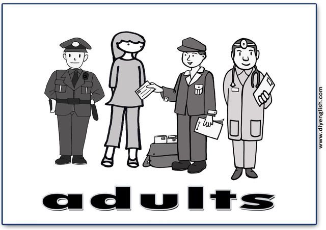 adults – English word flashcard