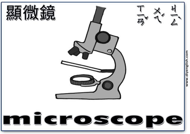microscope – Chinese & English flashcard