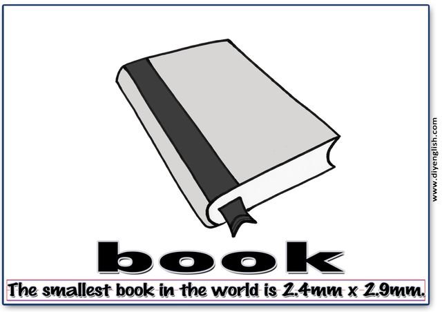 book – Word & fun-fact sentence flashcard