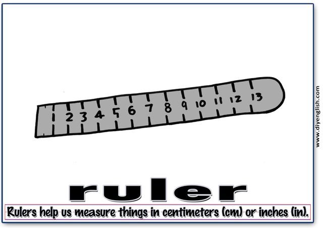 ruler – Word & fun-fact sentence flashcard