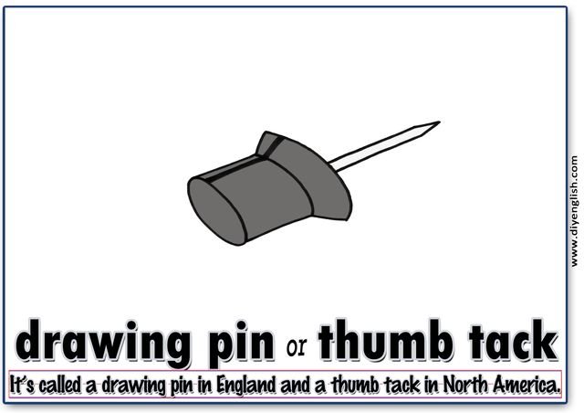 thumb tack – Word & fun-fact sentence flashcard