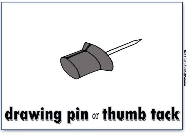 thumb tack – English word flashcard
