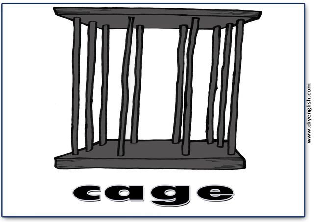 cage – English word flashcard