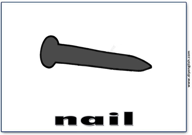 nail – English word flashcard