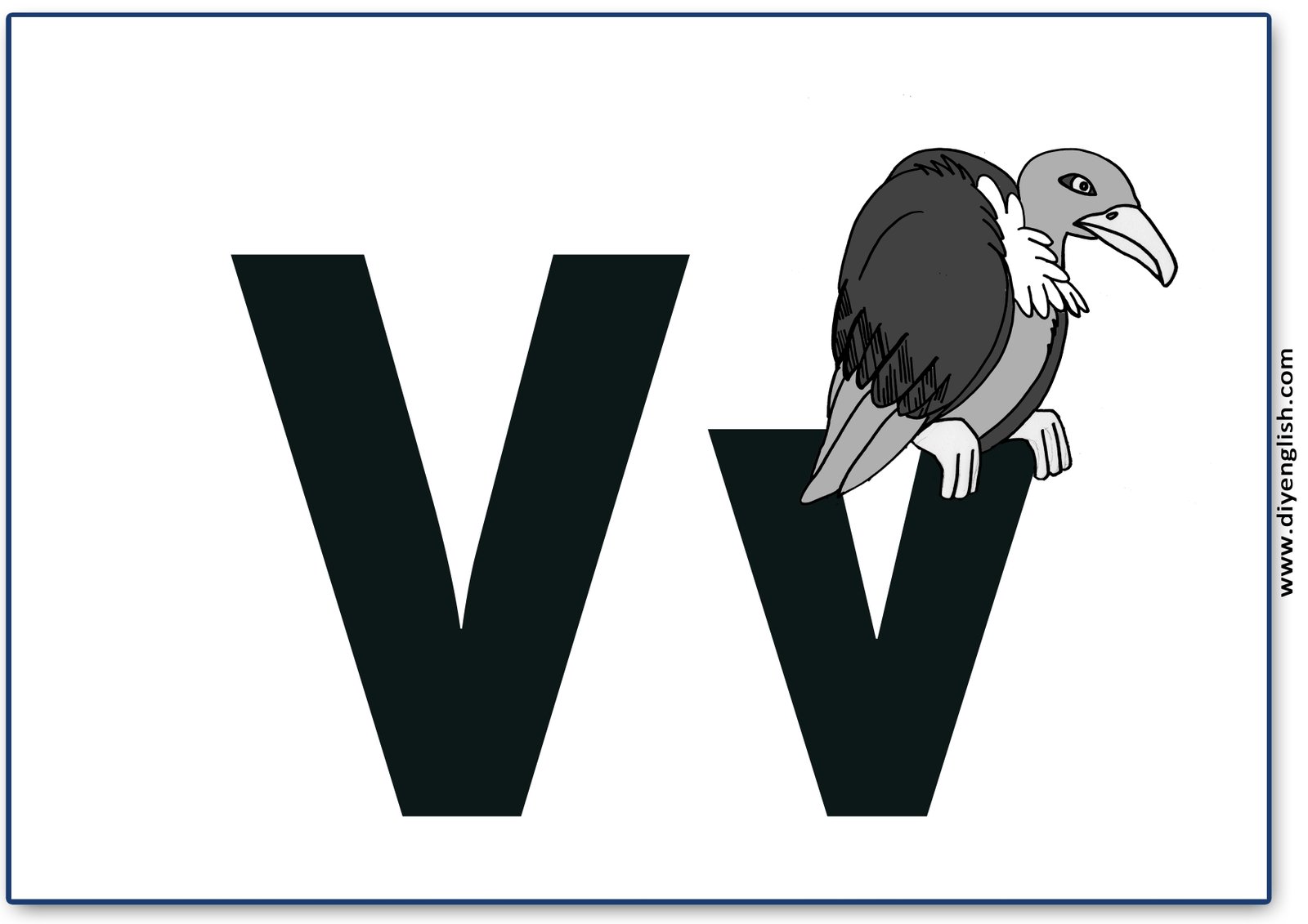 Letter V flashcard